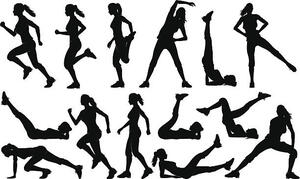 Bodyshape-docent(e) gezocht